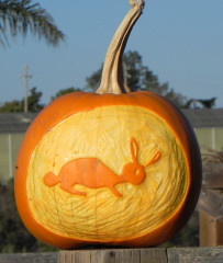 Rabbit, Nipomo Pumpkin Patch best carving idea